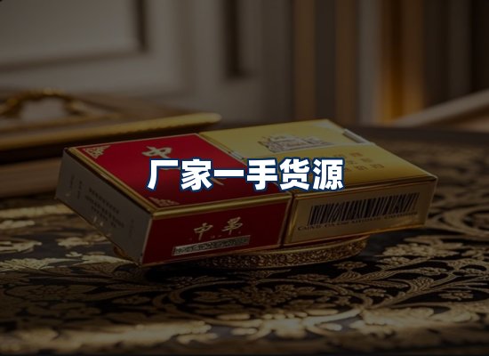专业团队办公环境